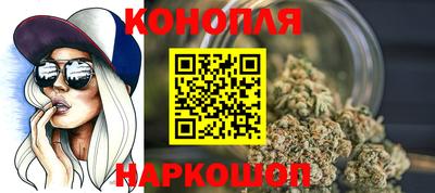 индика Нальчик